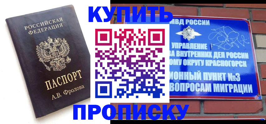 прописка поиск в Белгородской области